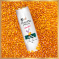 Shampoo Vita Glow Anti-Schuppen PANTENE PRO-V