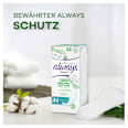 Slipeinlagen Cotton Protection Normal always