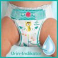 Windeln Baby Dry Gr. 2 Mini (4-8kg) Pampers