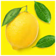 Allzweckreiniger Citrusfrische  Meister Proper
