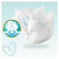 Scutece numărul 1 Pampers Premium Care