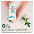 Slipeinlagen Cotton Protection Normal always