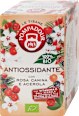 Tisana bio antiossidante con rosa canina e acerola POMPADOUR