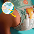 Plienky veľkosť 3 (6 - 10 kg) Pampers active baby
