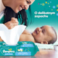 Chusteczki nawilżane Fresh Clean (4x80) Pampers