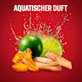 Deostick Whitewater @ Old Spice