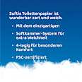 Toilettenpapier 4-lagig (4x100 Blatt) Softis