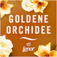 Lufterfrischer Duftstecker Goldene Orchidee Nachfüllpack Febreze