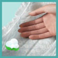 Plenice velikost 6 - mesečno pakiranje (13-18 kg) Pampers active baby