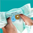 Plienkové nohavičky veľkosť 5 (11 - 17 kg) Monthly Box Pampers active baby