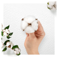 Cotton Protection vložky Ultra nigth always