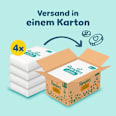 Windeln Premium Protection Gr. 2 Mini (4-8 kg) Monatsbox Pampers