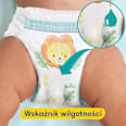 Pieluchomajtki Active Baby Pants 3 Pampers active baby