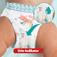Baby Pants Gr. 7 Extra Large (15+ kg) Monatsbox Pampers premium protection