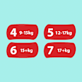 Baby Pants Gr. 7 Extra Large (15+ kg) Monatsbox Pampers premium protection
