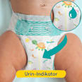 Windeln Baby Dry Gr. 2 Mini (4-8 kg), Big Pack Pampers