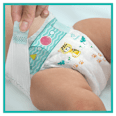 Plienky veľkosť 6 (13 - 18 kg) Monthly Box Pampers active baby