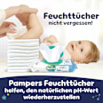 Baby Pants night Gr. 4 (9-15 kg) Monatsbox Pampers