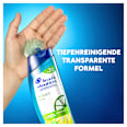 Shampoo Anti-Schuppen Anti-Fett head&shoulders