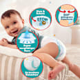 Baby Pants Baby Dry Gr.4 Maxi (9-15 kg), Monatsbox Pampers