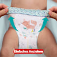 Baby Pants Gr. 7 Extra Large (15+ kg) Monatsbox Pampers premium protection