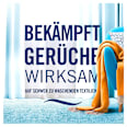 Textilerfrischer Lenor Amethyst Blütentraum  Febreze