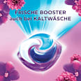 Colorwaschmittel Pods Amethyst Blütentraum Lenor