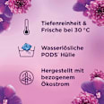 Colorwaschmittel Pods Amethyst Blütentraum Lenor
