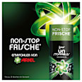 Wäscheparfüm Unstoppables, Duft von Ariel Lenor