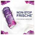 Wäscheparfüm Amethyst Blütentraum Lenor