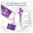 Wäscheparfüm Amethyst Blütentraum Lenor