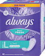 Ščitniki perila Daily Fresh Long always