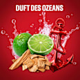 Deospray Captain Old Spice