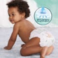 Windeln Harmonie Gr.4 Maxi (9-14 kg), Monatsbox Pampers Harmonie