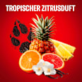 Duschgel Wolfthorn 3in1 Old Spice