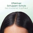 Shampoo Anti-Schuppen Bare Beruhigende Feuchtigkeit head&shoulders