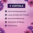 Colorwaschmittel Pods Amethyst Blütentraum Lenor