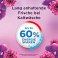 Colorwaschmittel Pods Amethyst Blütentraum Lenor
