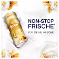 Wäscheparfüm goldene Orchidee Lenor