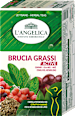 Tisana active Brucia grassi L'ANGELICA