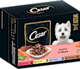 Nassfutter Hund Selektion in Sauce, Multipack (12x100 g) Cesar