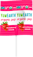 bio ovocné lízátko Yum Earth
