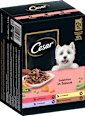 Nassfutter Hund Selektion in Sauce, Multipack (12x100 g) Cesar