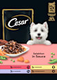 Nassfutter Hund Selektion in Sauce, Multipack (12x100 g) Cesar
