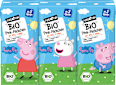 Bio nápoj s jablkovo-hruškovou šťavou PURE & FUN