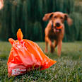 Vrecká na exkrementy pre psy Eko ExBags  THE EXPLORER DOG
