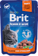 Krmivo pre kastrované mačky v kapsičke Premium By Nature s lososom Brit