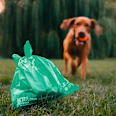 Vrecká na exkrementy pre psy Eko ExBags - mätová / oranžová THE EXPLORER DOG