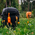 Zásobník na vrecká s 1 rolkou Eko ExBags  THE EXPLORER DOG