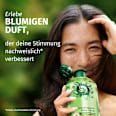 Shampoo Feuchtigkeit Aloe Vera Herbal Essences